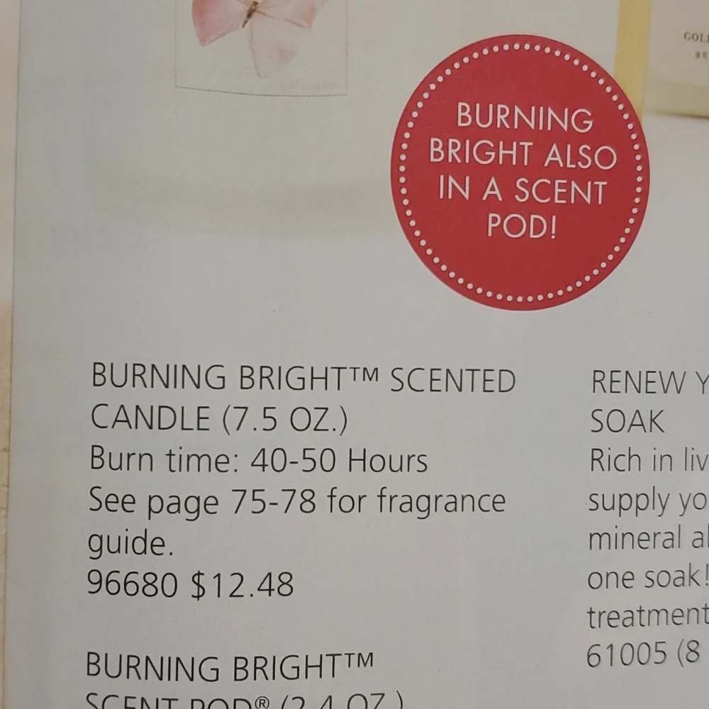 BURNING BRIGHT Emerge candle from Gold Canyon 7.5‎ oz